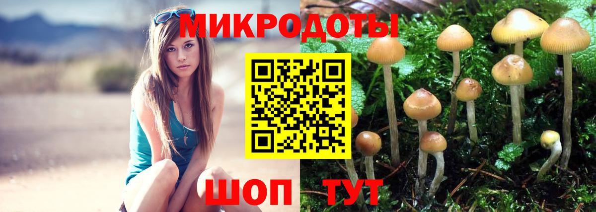 Псилоцибиновые грибы Psilocybe  Вход с VPN  Лабытнанги  Псилоцибиновые грибы прущие грибы 